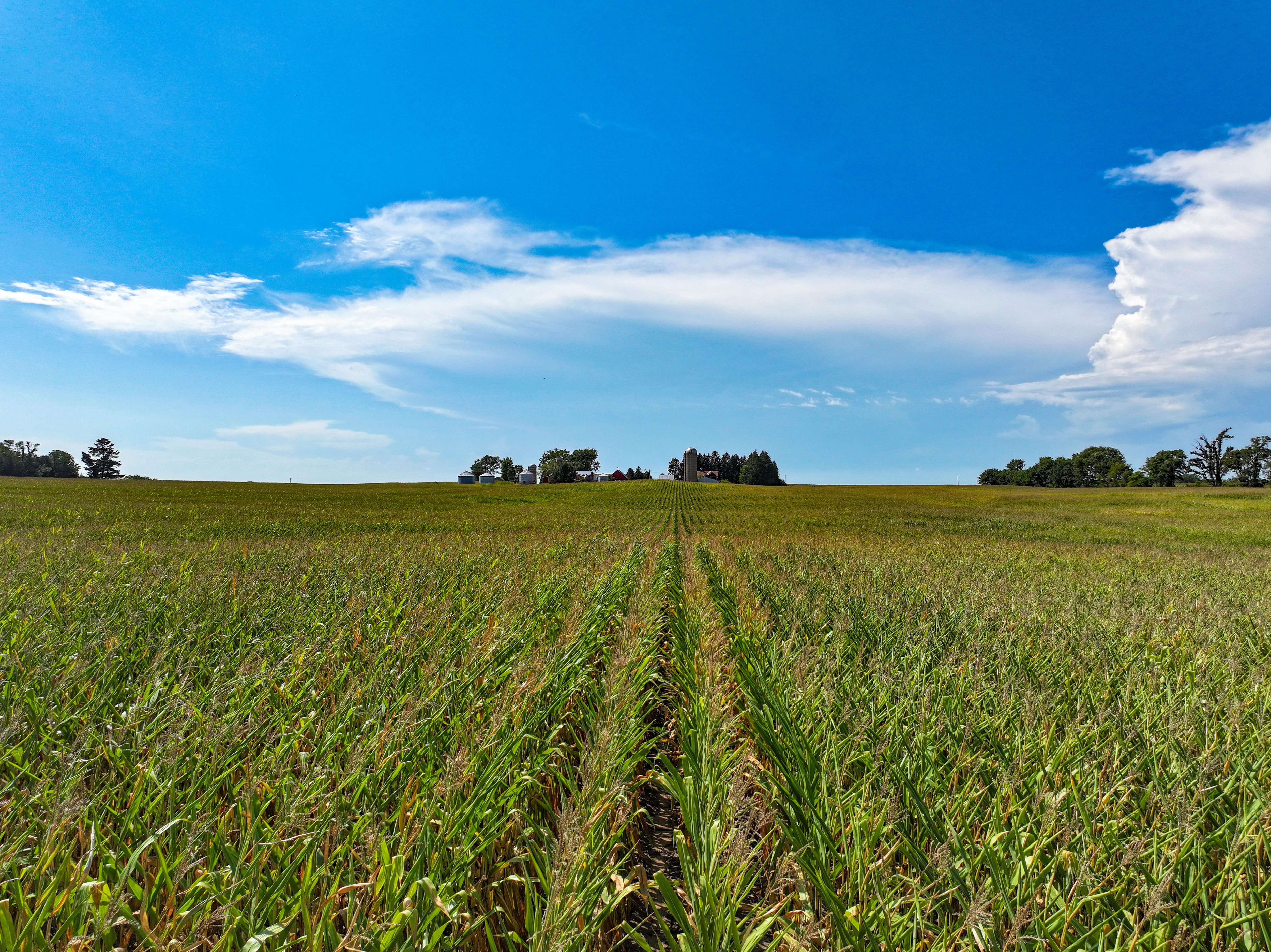 Listing Photo: 7_Delaware Co Iowa Farmland For Sale
